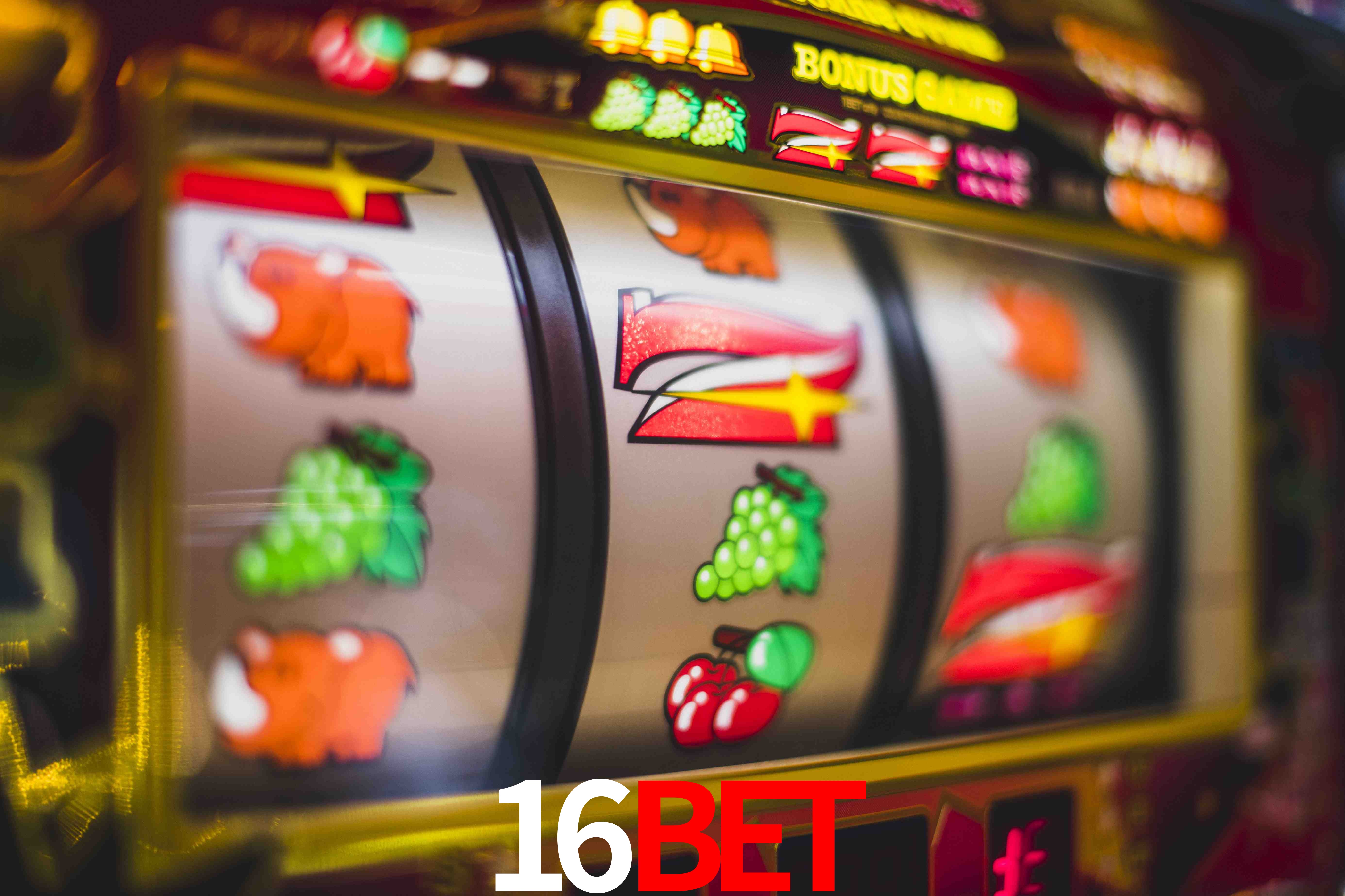 Programa VIP 16bet